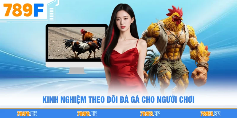Kinh nghiệm theo dõi đá gà cho người chơi