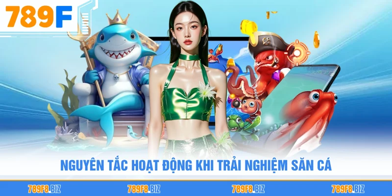 Nguyên tắc hoạt động khi trải nghiệm săn cá
