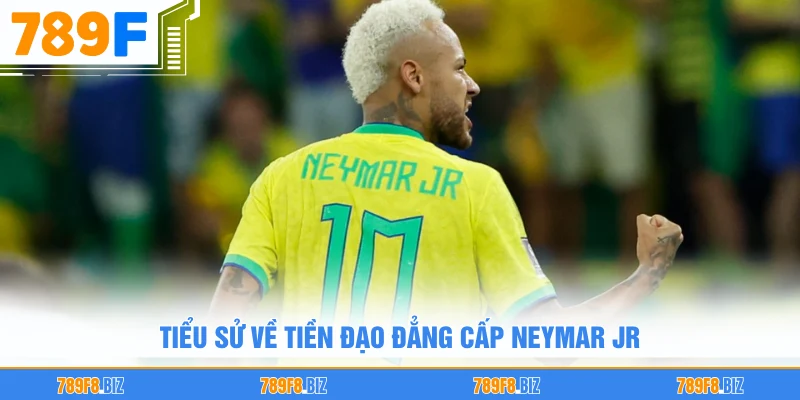 Tiểu sử về tiền đạo đẳng cấp Neymar Jr